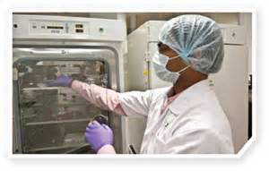 多方博弈：突破中国式研发困境