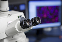 不朽情缘mg官网载体构建服务