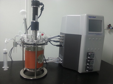 不朽情缘mg官网的生物药（抗体）实验室即将投入使用