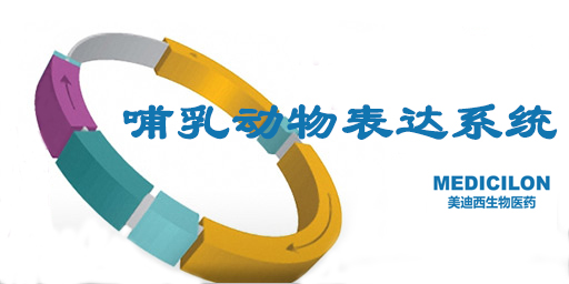 哺乳动物细胞表达系统特点、优势及研究现状