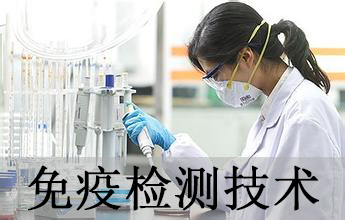 不朽情缘mg官网免疫学检测技术分析服务