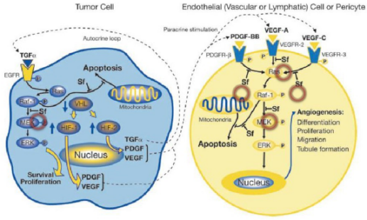 多靶点药物：创新药物设计的重要思路