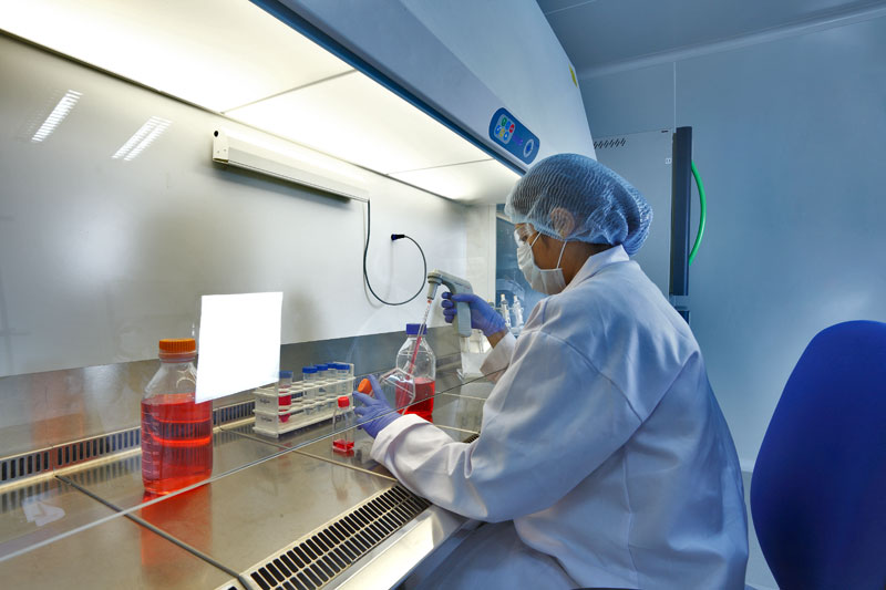 单品种费用或达千万？一致性评价还有这四大“坎”