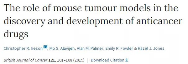 临床前小鼠模型如何。