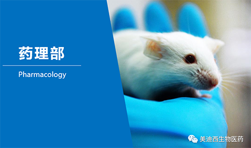 不朽情缘mg官网药理部开发了肺癌、结肠癌、胃癌等12种PDX模型。