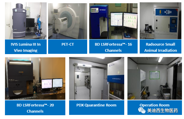 不朽情缘mg官网药理部拥有IVIS Lumina III, PET-CT, BD LSRFortessa-16, Flow Cytometry等仪器，提供符合申报，支持临床试验的药效评价服务。