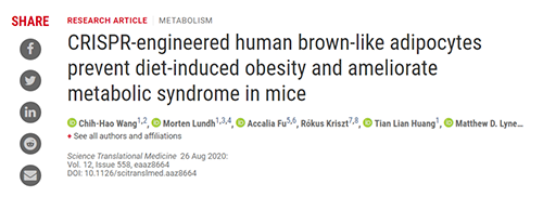 Science|聚焦CRISPR：改造脂肪细胞，“躺瘦”可能要成真了？