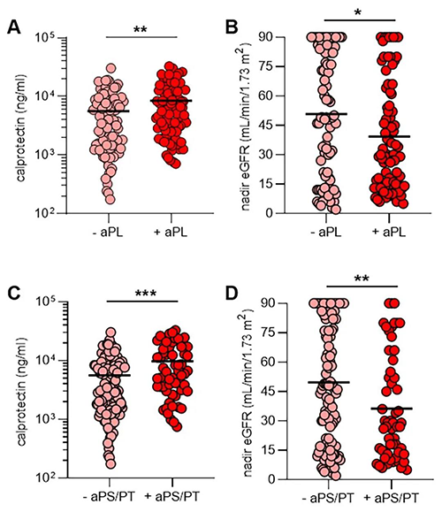 aPL抗体、NET释放和肾功能