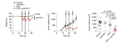 与对照组及仅使用PD-1疗法的模型小鼠对比，采用短期饥饿配合PD-1疗法的393P细胞同源移植肿瘤小鼠体内的肿瘤体积有了明显的收缩。