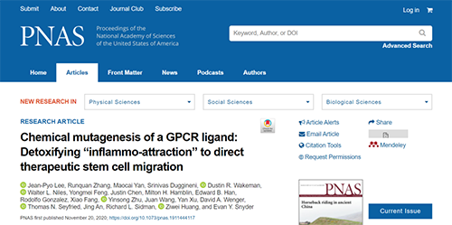 世界首创：药物将干细胞引导至受损部位，提高其愈合能力！