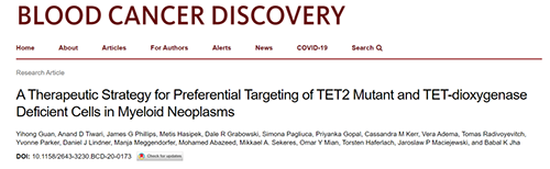 研究者描述了一种新型靶向抗癌药物，这种药物可能会有效地治疗某些常见的白血病。