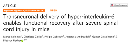 Nature：还瘫痪患者一个自由身的日子不远了