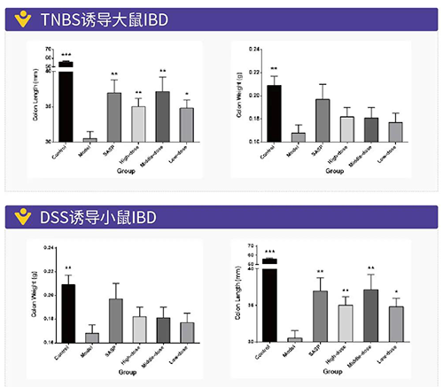 TNBS诱导的大鼠IBD、DSS诱导的大鼠IBD