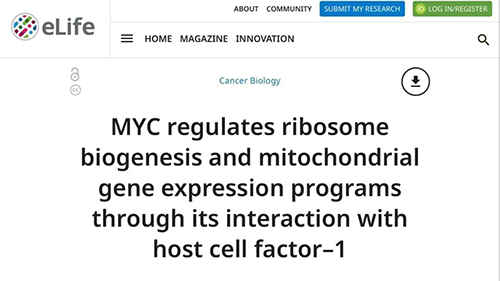 可以“融化”肿瘤的蛋白质，你一定没有听说过！