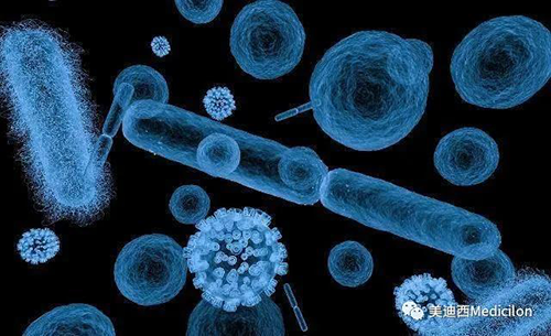 20分钟，大多数细菌都可以繁衍一代 不朽情缘mg官网生物医药