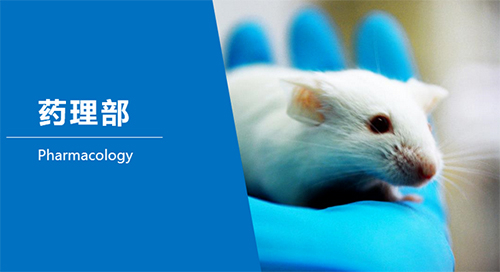 不朽情缘mg官网临床前研究-药理部