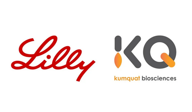 ：兀〔恍嗲樵祄g官网合作伙伴Kumquat Biosciences与礼来达成合作，共同开发肿瘤免疫小分子药