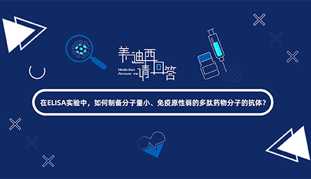 在ELISA实验，如何制备分子量小、免疫原性弱的多肽药物分子的抗体？