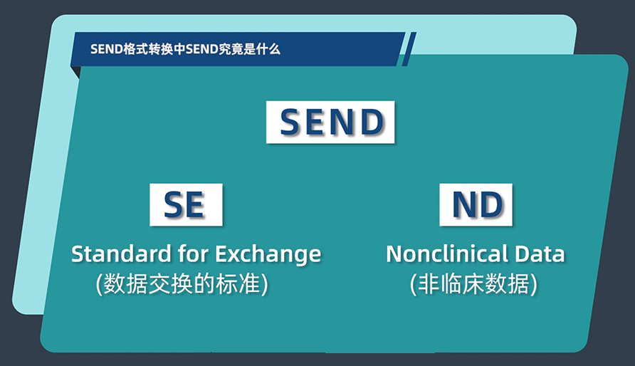 SEND格式转换中的SEND究竟是什么？