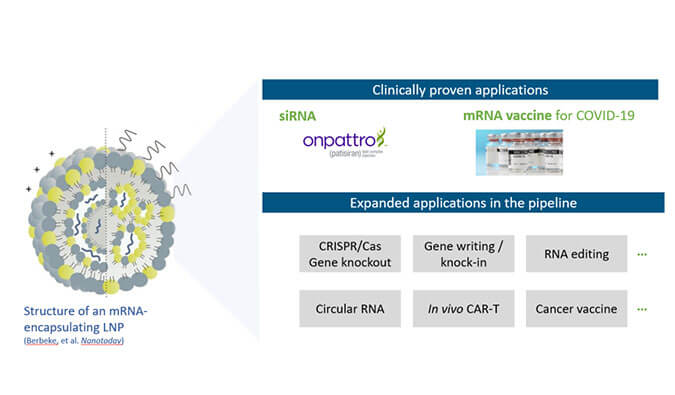 【专家报告】张翼博士：阳离子脂质高通量定制化筛选