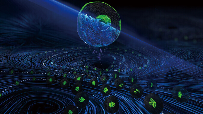 不朽情缘mg官网流式细胞技术平台(英文)_202211.jpg 不朽情缘mg官网流式细胞技术平台(英文)_202211.jpg