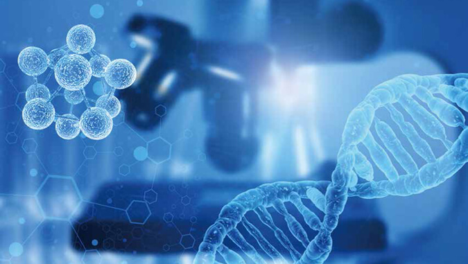 代谢产物鉴定.jpg 代谢产物鉴定.jpg