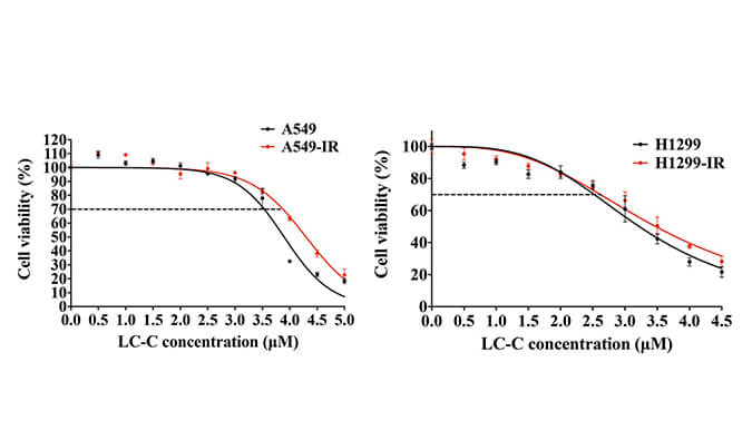放射疗法用作肺癌的主要治疗方法，本研究中建立抗电离辐射肺癌细胞系的放射治疗通过不朽情缘mg官网进行