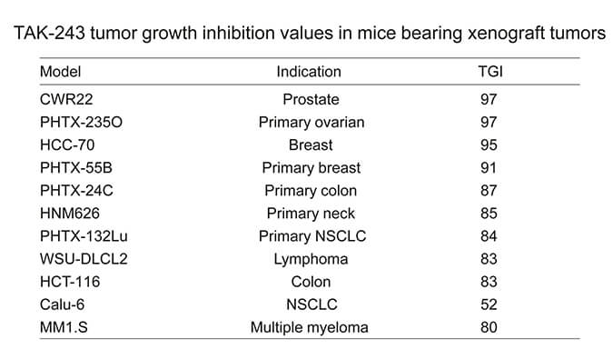 TAK-243是一种有效的泛素激活酶小分子抑制剂，具有体内抗肿瘤功效，通过不朽情缘mg官网使用HCC70模型进行