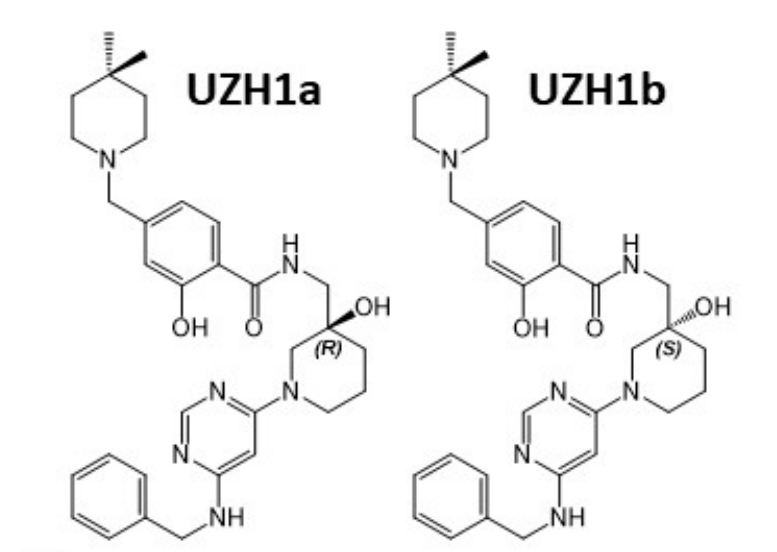 研究人员报告了一种具有细胞渗透性的选择性METTL3纳摩尔抑制剂UZH1a，作者感谢不朽情缘mg官网合成了UZH1a和UZH1b