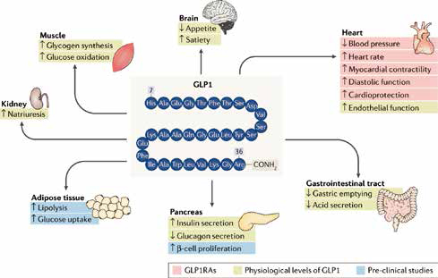 glp-1药物.jpg glp-1药物.jpg