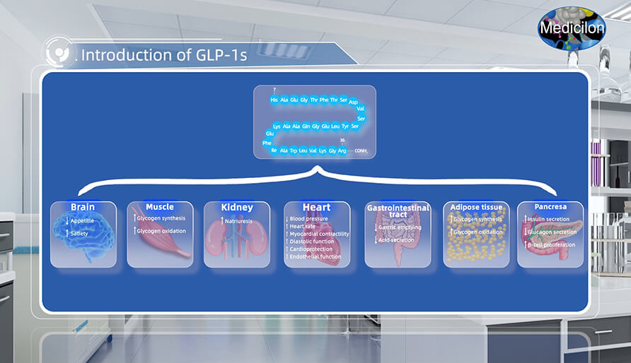 胰高血糖素样肽-1(GLP-1s) 介绍.jpg 胰高血糖素样肽-1(GLP-1s) 介绍.jpg