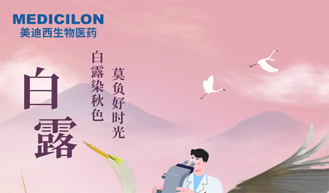 白露 | 白露染秋色，莫负好时光