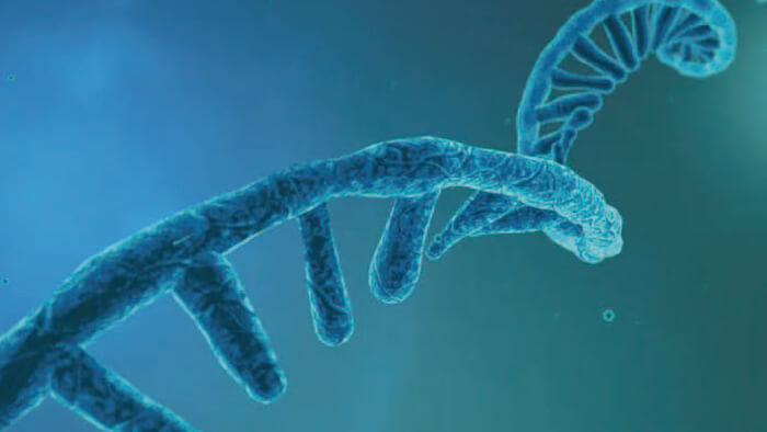 核酸药物工艺开发