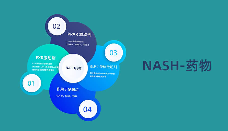 针对NASH非酒精性脂肪肝病有哪些不同的新药类型(HD).jpg 针对NASH非酒精性脂肪肝病有哪些不同的新药类型(HD).jpg