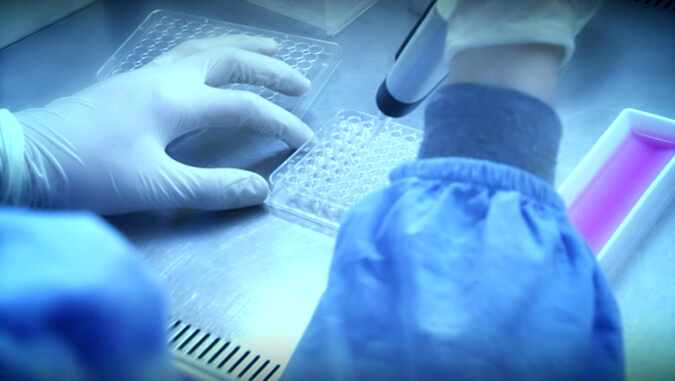 细胞因子和生物标志物检测.jpg 细胞因子和生物标志物检测.jpg