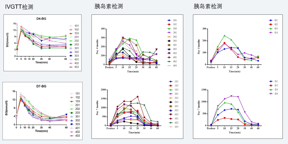 案例4：食蟹猴IVGTT和胰岛素检测实验.jpg