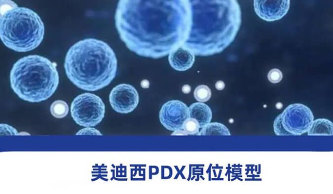 不朽情缘mg官网118种PDX原位模型，助力肿瘤药物研发