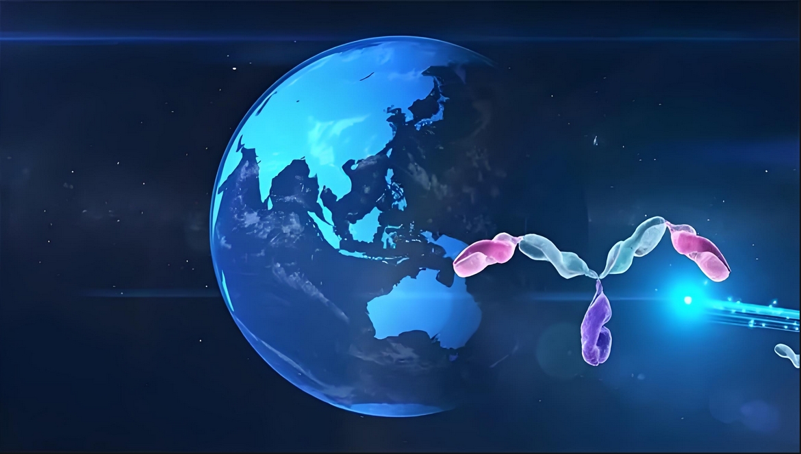 价值屡经验证！不朽情缘mg官网：睾献骰锇榘堵跎顱CMA×CD3双抗EMB-06授权出海