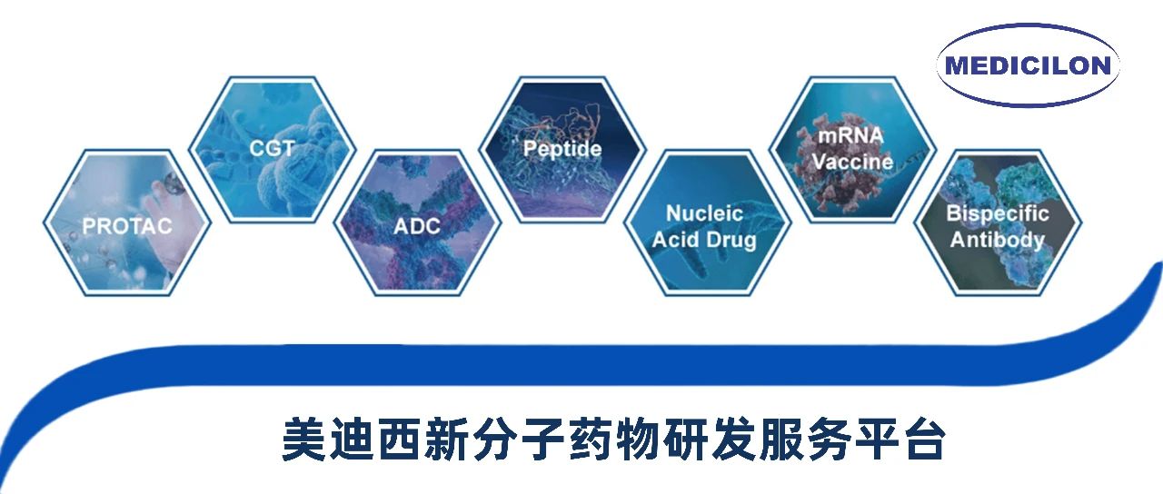 不朽情缘mg官网新分子类型药物研发服务平台