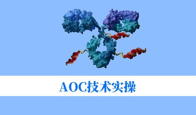 AOC技术实操：偶联化学与表征分析难题全搞定