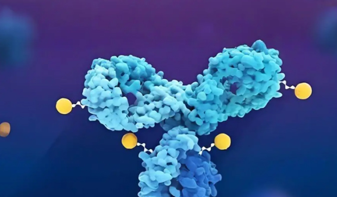 深度剖析：ADC药物生物分析的考量因素