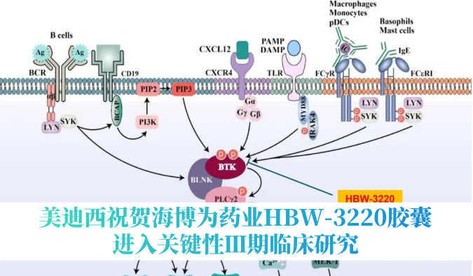破解耐药性难题，不朽情缘mg官网：睾２┪┮礖BW-3220胶囊进入关键性Ⅲ期临床研究